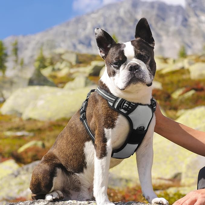 Eagloo Dog Harness Medium Sized Dog, No Pull Service Vest with Reflective Strips and Control Handle, Adjustable and Comfortable for Easy Walking, No Choke Pet Harness with 2 Metal Rings, Grey, M GoExplorewithEagloo