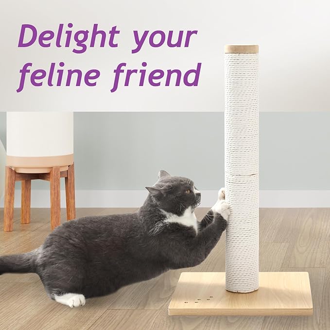 Necoichi 23.6” Tall Cat Scratching Post Kitten Scratcher Paper Rope Scratch Posts Trees with Hanging for Indoor Cats (23.6 inches for Kitty, Regular, Oak) - PAWPICO