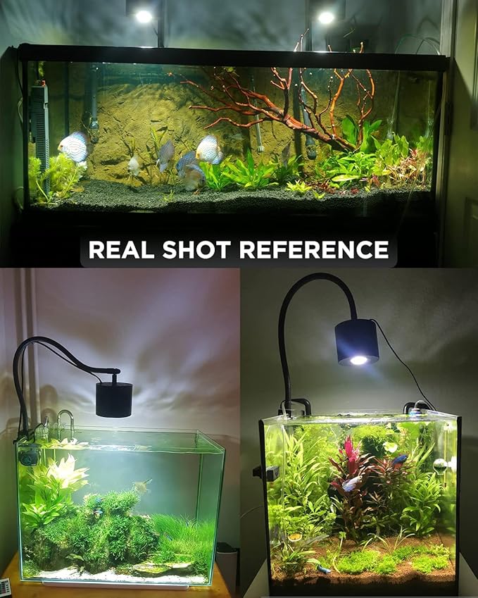 Lominie Aquarium LED Light 10 Gallon Fish Tank Light Timer Clip on Aquarium Lamp Full Spectrum 80W 6500k for Freshwater Refugium Cube Tank with Gooseneck Lominie