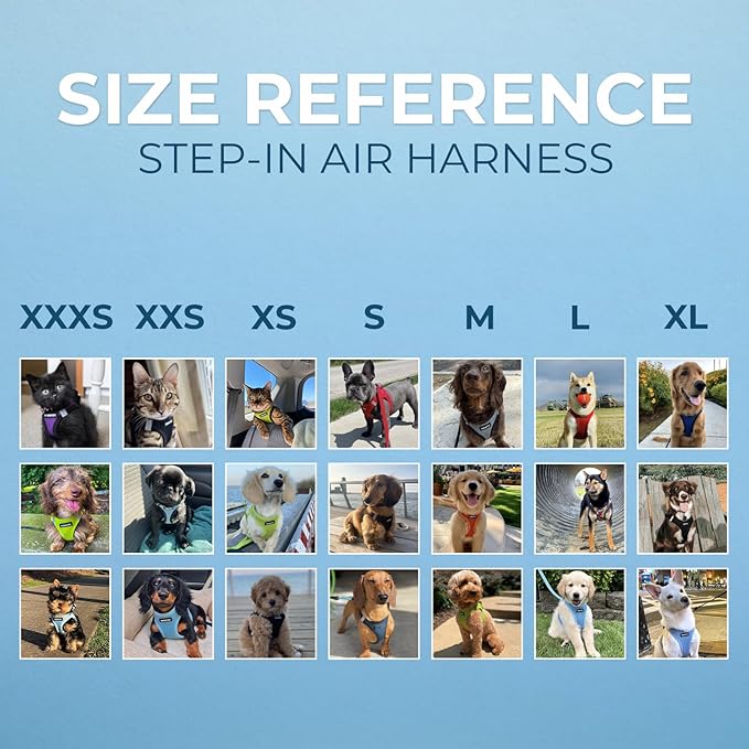 Voyager Step-In Air Dog Harness - All Weather Mesh, Reflective, No Pull Harness for Small, Medium Dogs, Cats - Secure with Hook & Loop Fastener, Buckle, Double D-Rings - Baby Blue, XXXS BestPetSuppliesLLC