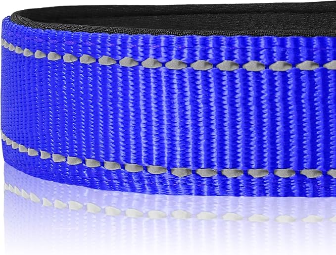 Joytale Reflective Dog Collar,Soft Neoprene Padded Breathable Nylon Pet Collar Adjustable for Medium Dogs,Navy Blue,M - PAWPICO