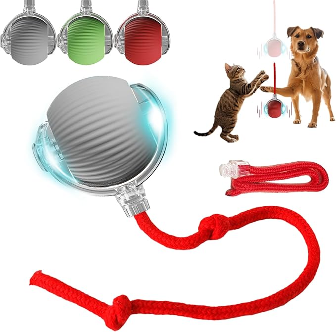 Interactive Dog Cat Toys Ball, Electric Rolling Ball Dog Toy, Automatic Moving Bouncing Toy Ball with Lights, Dog Toys to Keep Them Busy, Peppy Pet Ball for Bored Indoor Cats & Dogs (Grey) - PAWPICO