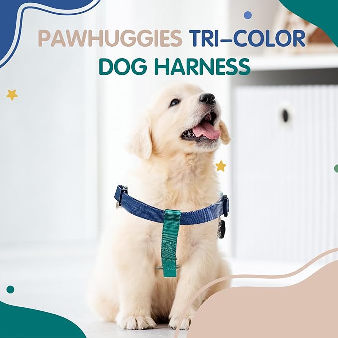 Tri-Color Dog Harness, Adjustable Step-in Design no Pull Dog Harness for Small Dogs, Heavy Duty Puppy Harness, Easy for Walking Dog Harness for Small Dogs, xs Dog Harness Green Blue White Pawhuggies