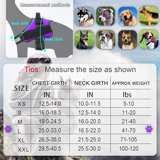Bolux Dog Harness, No-Pull Reflective Dog Vest, Breathable Adjustable Pet Harness with Handle for Outdoor Walking - No More Pulling, Tugging or Choking (Purple, L) Bolux