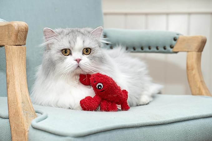 Interactive Catnip Cat Plush Toy, Ocean Theme, 5'', for All Breed Size Cats (Lobster) - PAWPICO