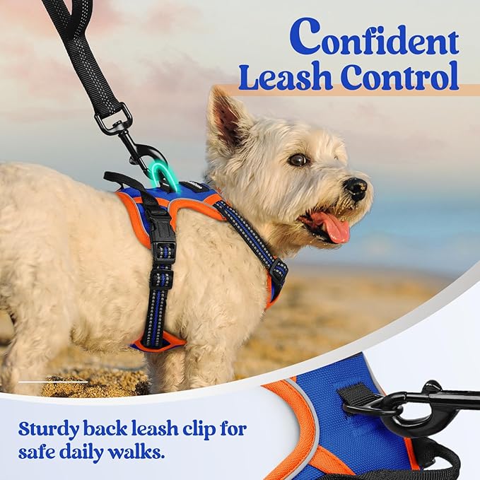 rabbitgoo Dog Harness No Pull with 2 Leash Clips, Adjustable Soft Padded, Reflective Oxford No Choke Pet Vest with Easy Control Handle for Puppy, Blue & Orange, XS rabbitgoo