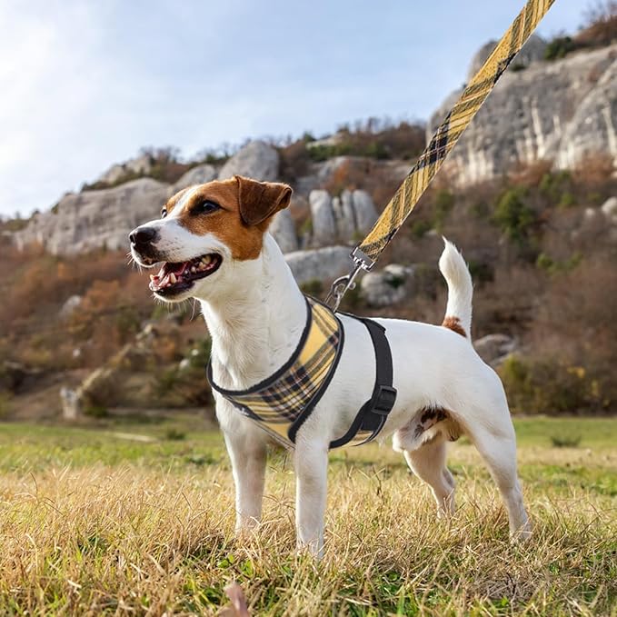 PUPTECK Soft Mesh Dog Harness and Leash Set Pet Puppy Cat Comfort Padded Vest No Pull Harnesses, Yellow, XS PUPTECK