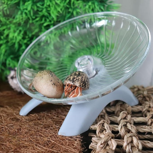 Hermit Crabs Wheel Toy, Hamster Running Wheel Toys, Small Animals Cage Accessory, Tank Accessory, Suitable for Hermit Crab Hamster Rat Oooct