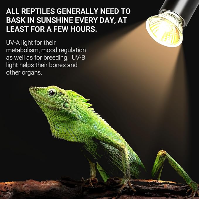 CALPALMY 4-Pack 25W UVA+UVB Reptile Heat Bulbs - Heat and Light for Reptiles and Amphibian Tanks, Terrariums and Cages - Works with Turtle Lizard Various Amphibian Terrarium Heat Lamp Fixtures CalPalmy
