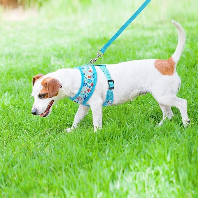 PUPTECK Soft Mesh Dog Harness and Leash Set Pet Puppy Cat Comfort Padded Vest No Pull Harnesses, Blue Floral, S PUPTECK