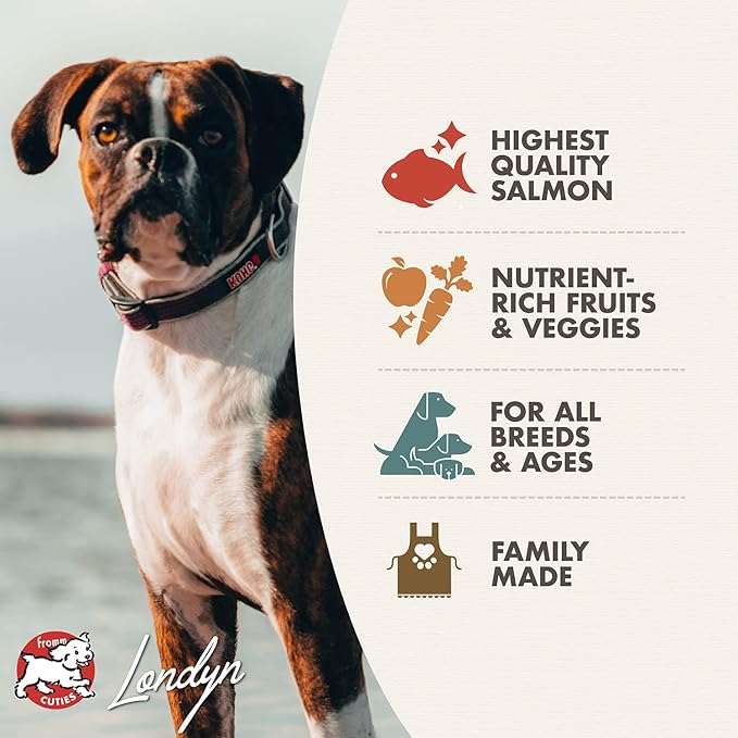 Fromm Four-Star Nutritionals Salmon A La Veg Dog Food - Premium Dry Dog Food - Salmon Recipe - 12 lb - PAWPICO