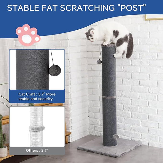 Cat Craft Bobcat Cat Scratching Post for Indoor Cats, Tall Cat Scratch Post, Carpet Cat Scratching Post with Replaceable Toys, Sturdy Base, Large, Gray - PAWPICO