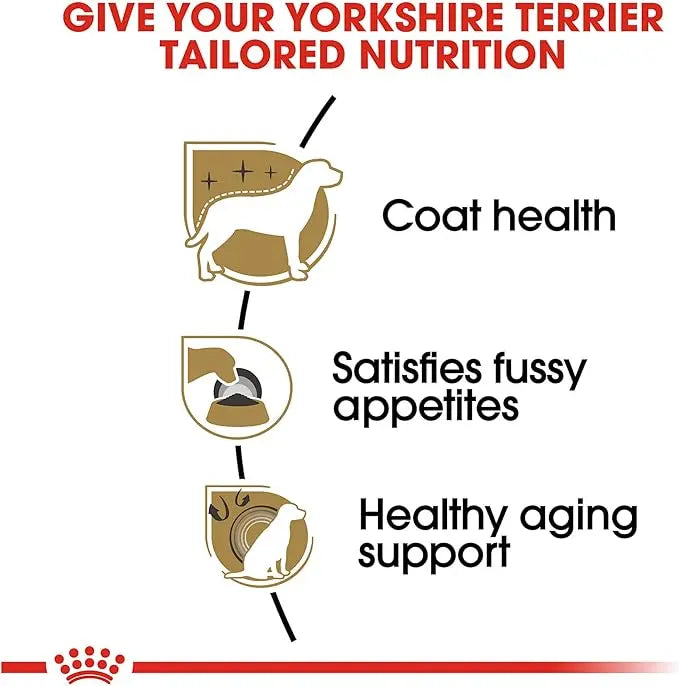 Royal Canin Yorkshire Terrier Adult Dry Dog Food, 10 lb bag - PAWPICO