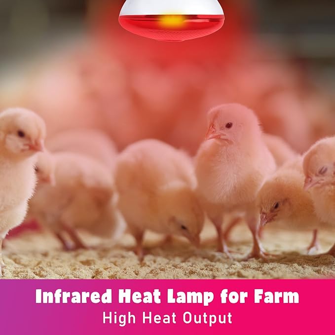 LUCKY HERP Infrared Heat Lamp for Chickens - 250 Watts Red Heat Lamp Bulb 1 Pack, Heat Light Bulb for Brooder Coop, Food Service, Chicks, Pet, Reptile LUCKYHERP