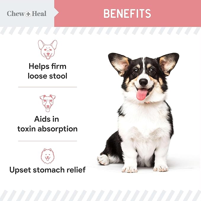 Chew + Heal Labs Anti Diarrhea for Dogs - 12 oz. of Stop The Diarrhea Liquid Supplement with Kaolin - for Diarrhea and Upset Stomach Relief - Made in The USA ChewHeal