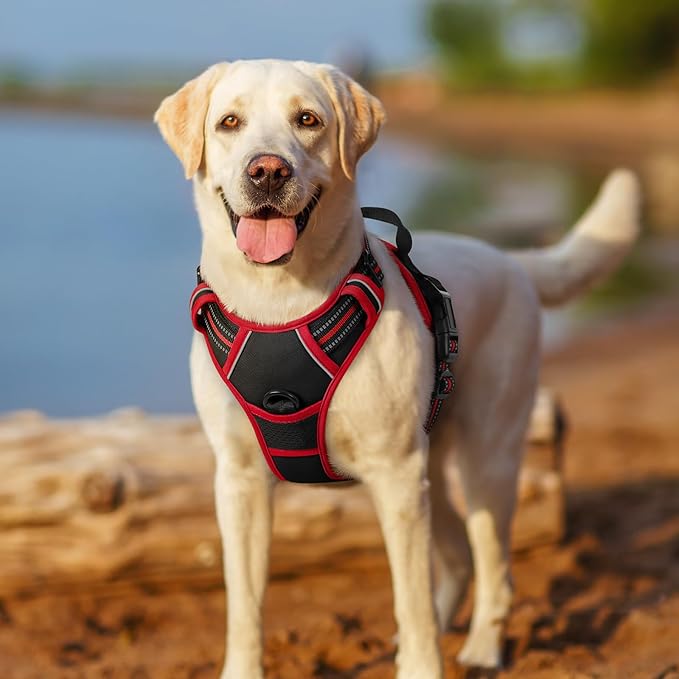 rabbitgoo Dog Harness No Pull with 2 Leash Clips, Adjustable Soft Padded, Reflective Oxford No Choke Pet Vest with Easy Control Handle for Medium Sized Dogs, Black & Red, M rabbitgoo