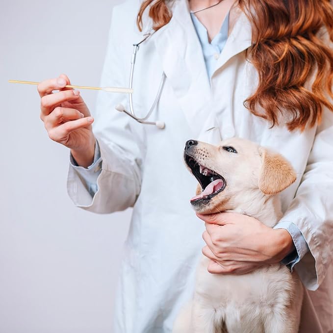 400 Pcs Dog Ear Cleaner Q Tips, 6 Inch Long Cotton Swabs for Dogs, Long Dog Q Tips for Dogs and Cats, Dog Ear Cleaning Swabs for Dog Ear Infection Treatment Mezchi