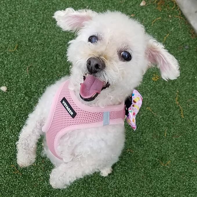 Voyager Step-in Air Dog Harness - All Weather Mesh, Reflective, No Pull Harness for Small, Medium Dogs, Cats - Secure with Hook & Loop Fastener, Buckle, Double D-Rings - Pink, XL BestPetSuppliesLLC