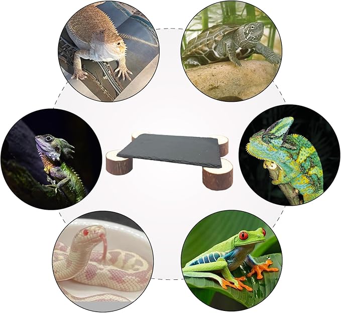 Bearded Dragon Basking Platform with Wooden Pile,Reptiles Hideout Cave,Turtle Basking Rock,Terrarium Habitat Decor Tank Accessories for Tortoise Lizards Snakes Chameleon Style C Gxsdj