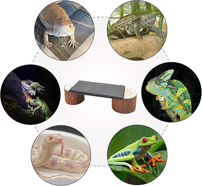 Bearded Dragon Basking Platform with Wooden Pile,Reptiles Hideout Cave,Turtle Basking Rock,Terrarium Habitat Decor Tank Accessories for Tortoise Lizards Snakes Chameleon Style A Gxsdj