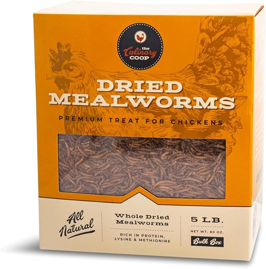 Fluker's Culinary Coop Premium Chicken Treats, High Protein Dried Mealworms, Nutritious Snacks for Chickens, Birds, and Reptiles, 5 lbs Box Flukers