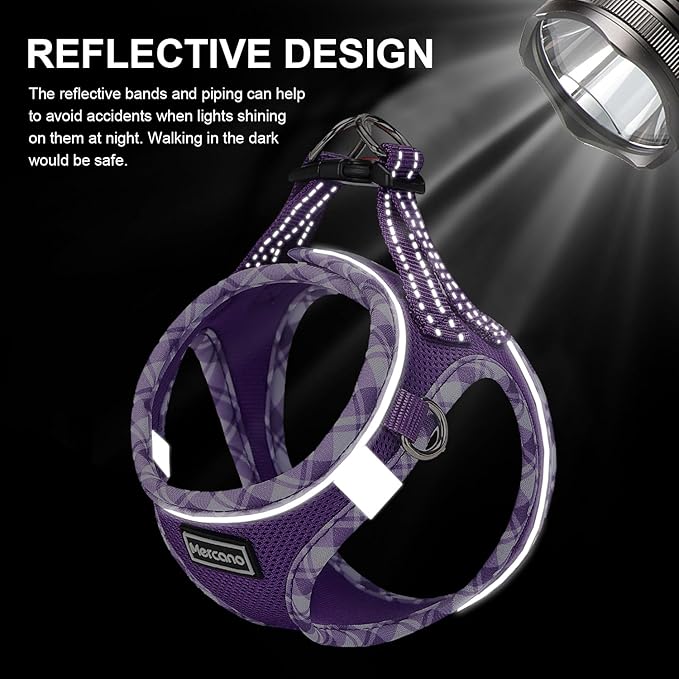 Mercano Soft Mesh Dog Harness and Leash Set, No-Chock Step-in Reflective Breathable Lightweight Easy Walk Vest Harnesses with Safety Buckle for Small Dogs, Cats (S, Purple) PAWPICO