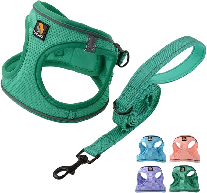 BELLA & PAL Puppy Harness with Leash Set, Dog Harness for Small Dogs No Pull, Dog Leash for Small Dogs, Step in Harness for Extra Small Dogs, Green Harness, XS BELLAPAL