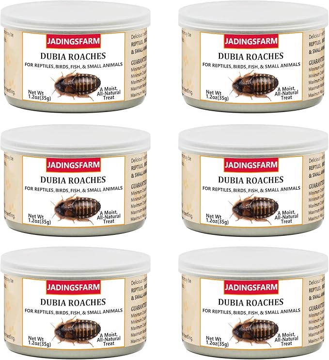 6 Pack Canned Dubia Roaches for Reptiles, Fish, Birds and Small Animals, Dubia Roaches, Healthy High Protein Treat, Reptile Bird Fish Food 7.2 Ounces Total Jadingfarm