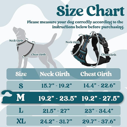 rabbitgoo Dog Harness Medium Sized, No Pull Pet Harness with 3 Buckles, Adjustable Soft Padded Pooch Vest with Instant Control Handle, Easy Walking Reflective Pet Vest for Medium Dogs, Blue Coral, M - PAWPICO
