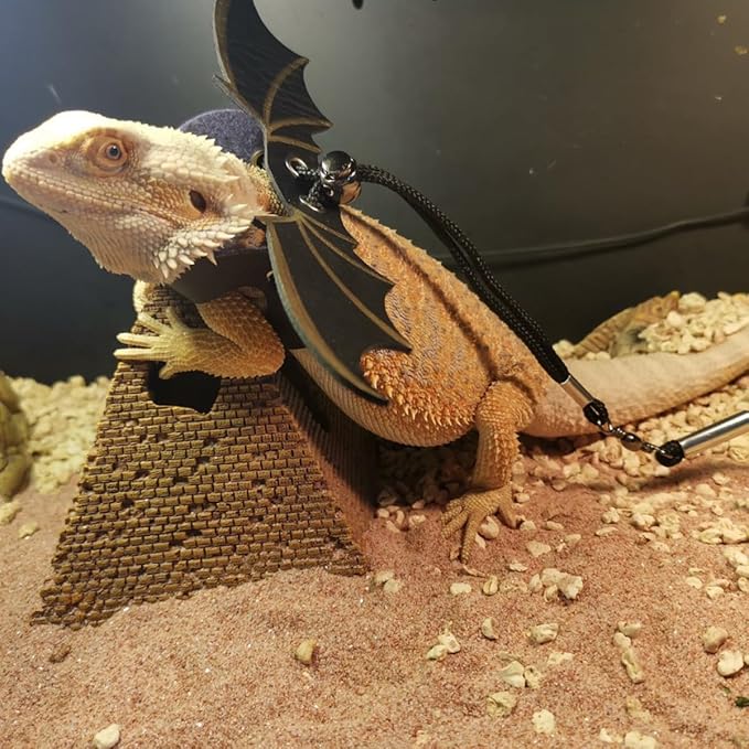 Travel Backpack Carrier with Harness and Leash Set,Lizard Backpack Carrier,Space Capsule Clear Bubble Window Astronaut Reptile Carrier Backpack,Bearded Dragon Leash,Airline Approved Hcupet