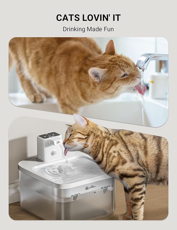 DownyPaws Battery Operated Cat Water Fountain, 84oz/2.5L Fursink Wireless Pet Water Fountain for Cats Inside, Automatic Dog Water Dispenser with Motion Sensor, Ultra Quiet Pump, BPA-Free, White - PAWPICO