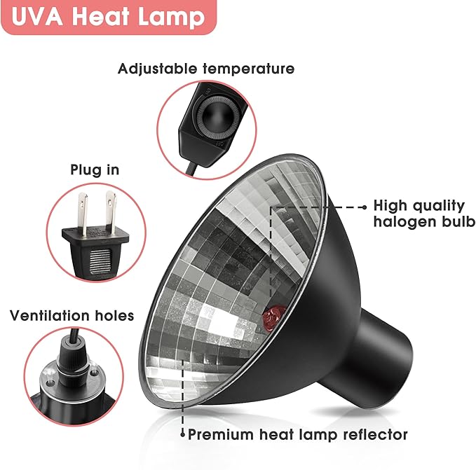 Briignite Reptile Heat Lamp Red, Reptile Night Lamp 50W, G9 Heat Bulb & Dome Reptile Light Fixture, Aluminum Reflector, Dimmable Heat Lamp for Chicken Turtle Snake Gecko Lizard, 1 Pack WelcometoBriigniteenjoyyourshopping