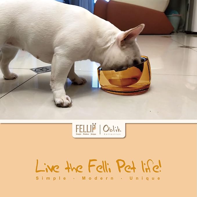 Felli Pet Oblik Acrylic Raised Dog Food Water Bowl Stainless Steel Slanted Oval Dish for Short Leg Puppy & Small Medium Pet, Elevated Tilted Metal Feeder Angled Plastic Spill Proof (1.5Cups, Gold) - PAWPICO