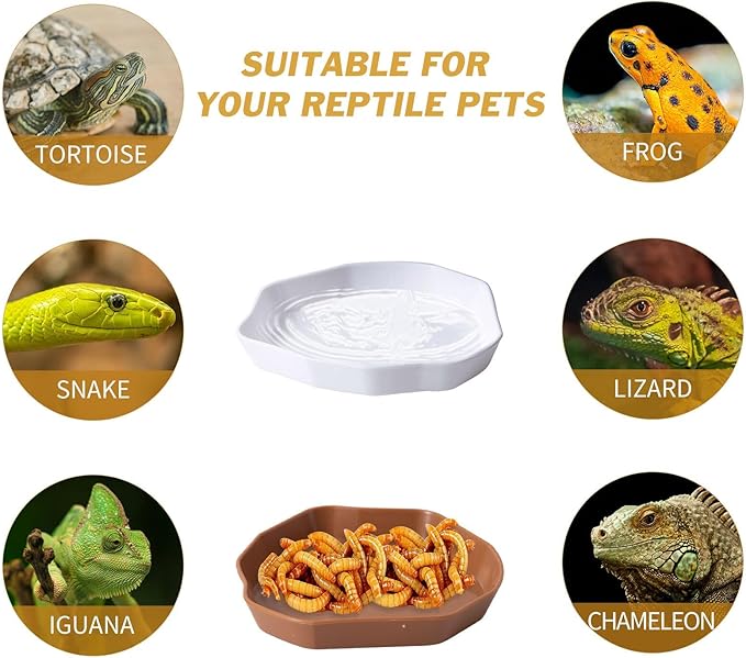 4 Pack Reptile Food Dish Bowl, Plastic Worm Water Dish Plate for Lizard Gecko Bearded Dragon Chameleon, White and Brown, 2 Sizes COMSUN