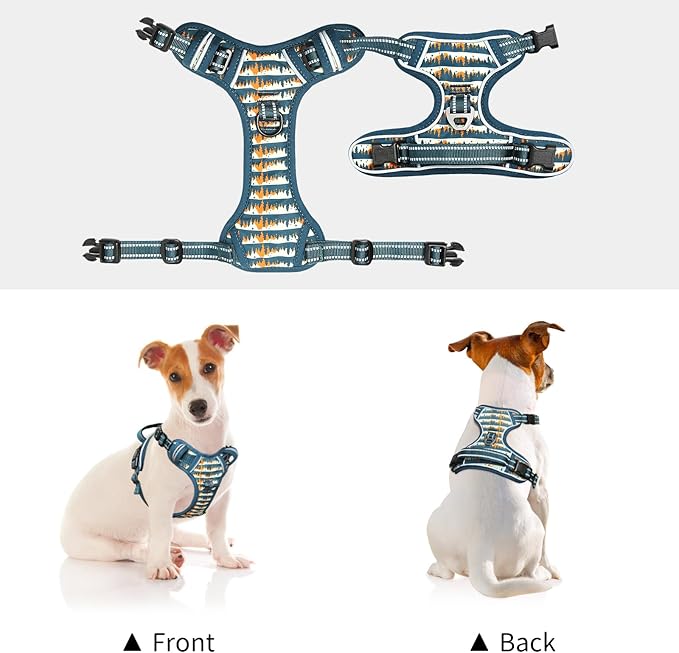 Timos Dog Harness, 3 Snap Buckles No-Pull Soft Padded Dog Vest with 2 Metal Leash Clips, Adjustable Reflective No Choke Pet Harness with Easy Control Handle for Small Dogs, Sunset Valley, S Timos