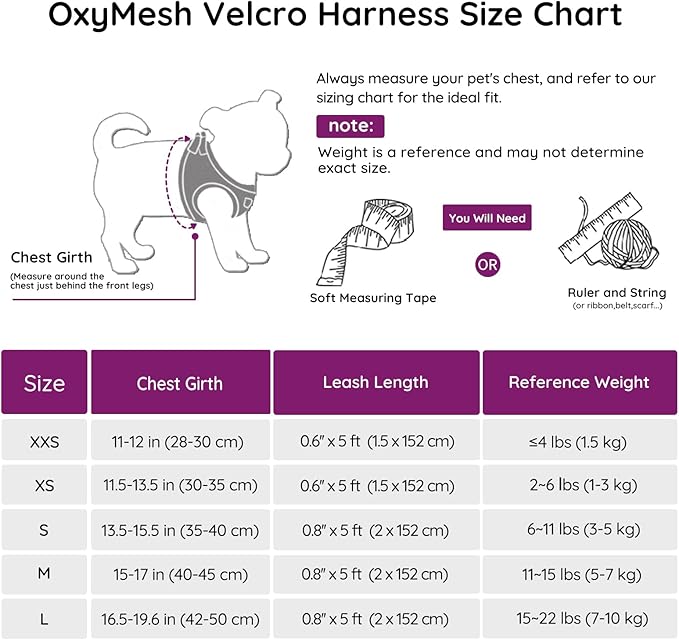 BELLA & PAL Puppy Harness with Leash Set, Dog Harness for Small Dogs No Pull, Dog Leash for Small Dogs, Step in Harness for Extra Small Dogs, Deep Purple Harness, XS BELLAPAL