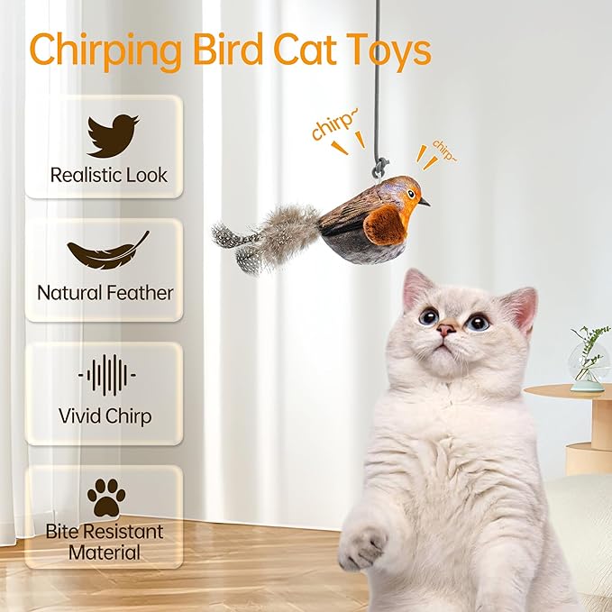 Chirping Bird Cat Toys Hanging Cat Feather Toy - Catnip Interactive Cat Toys for Indoor Cats - Automatic Cat Toy for Cat Exercise & Kicker to Self Play (Blue) - PAWPICO