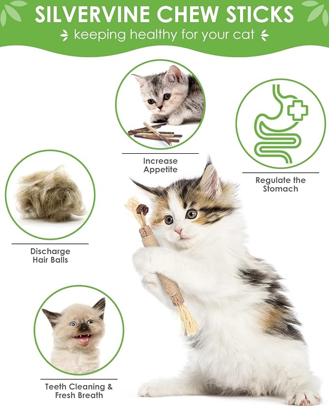 TINDTOP Catnip Chew Toys for Cats, 12 Pack Natural Silvervine Sticks for Kittens Teeth Cleaning, Matatabi Dental Care, Increase Appetite, Calm Cat Anxiety and Stress, Aggressive Chewers Cat Dental Toy - PAWPICO