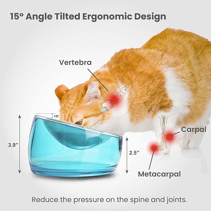 Felli Pet Oblik Whisker Fatigue Cat Food Bowl Raised Stainless Steel Shallow Dish Pet Friendly Modern Design, Anti Vomiting Elevated Wide Plate Feeder No Slip Weighted Acrylic Base (0.5Cup, Sapphire) - PAWPICO