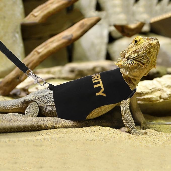 Hypeety Bearded Dragon Harness and Leash Set Adjustable Escape Proof Leash Outdoor Walking Training Leash and Harness for Bearded Dragon Lizard Reptiles Small Pets Black (Security) Hypeety
