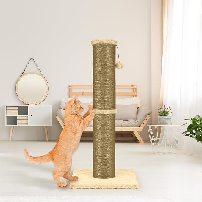 PAWSCRAT Cat Scratching Post 32 Inch High, 5.5 Inch Large Diameter Natural Sisal Cat Scratch Post, Scratch-Resistant and Durable Tall Cat Scratcher for Indoor Cats, Protect Your Furniture, Yellow - PAWPICO