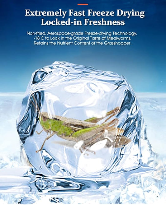 Tasty Freeze Dried Grasshopper Reptile Food for Turtles, Bearded Dragon, Hedgehog,Lizard, Chameleon, Birds (3 OZ) BNYEE