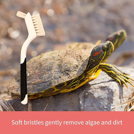 Snout and Shell Turtle Cleaning Brush Remove Aquatic Mud, Dirt, & Contaminants from Tortoises Shells & Promoting Shell Health - Goat Hair Bristle Brush with Grip Rubber Handle - Green SNOUTANDSHELL