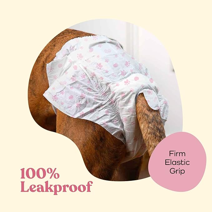 Comfortable Female Dog Diapers - 24-Pack Super Absorbent Disposable Doggie Diapers - FlashDry Gel Technology & Wetness Indicator - Leakproof Diapers for Dogs in Heat, Excitable Urination, Incontinence - PAWPICO