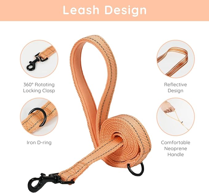 BELLA & PAL Puppy Harness with Leash Set, Dog Harness for Small Dogs No Pull, Dog Leash for Small Dogs, Step in Harness for Extra Small Dogs, Peach Harness, L BELLAPAL