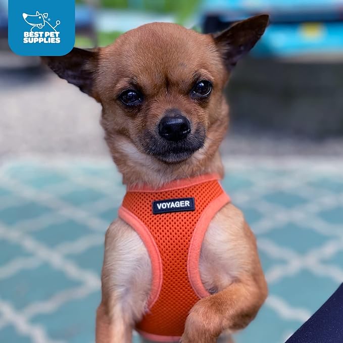 Voyager Step-In Air Dog Harness - All Weather Mesh, Reflective, No Pull Harness for Small, Medium Dogs, Cats - Secure with Hook & Loop Fastener, Buckle, Double D-Rings - Orange, XXS BestPetSuppliesLLC