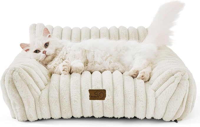 Bedsure Cute Cat Couch for Pets - Fluffy Cat Sofa with Premium Soft Corduroy Fleece, Fuzzy Cat Couch Bed with Removable Washable Cover, Supportive Cat Chair for Indoor Cats, 24inch, Cream - PAWPICO