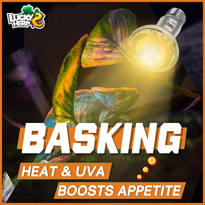 LUCKY HERP Heat Lamp Bulbs, UVA Intense Basking Spot Light Reptile Heat Lamp(Clear) 50W, Simulated Natural Sunlight Heat Lamp Bulbs for Reptile, Bearded Dragon, Amphibian, Turtle, Snake, Lizard LUCKYHERP