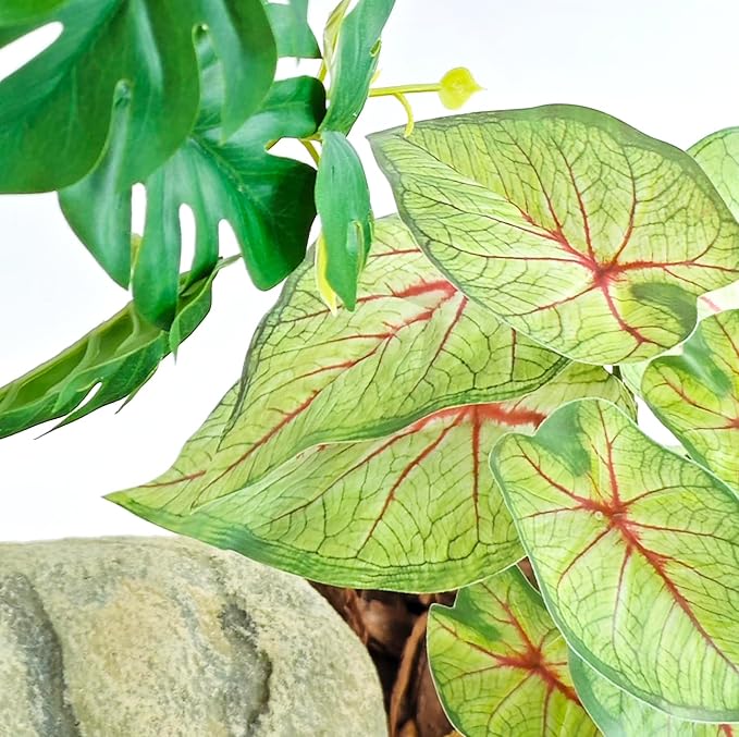 Woyrise Reptile Artificial Plants for Terrarium Decor, Amphibian Habitat Decorations Bearded Dragon Tank Accessories fit Crested Gecko Leopard Lizard Chameleon Ball Python Snake Frog - Fake Caladium Woyrise