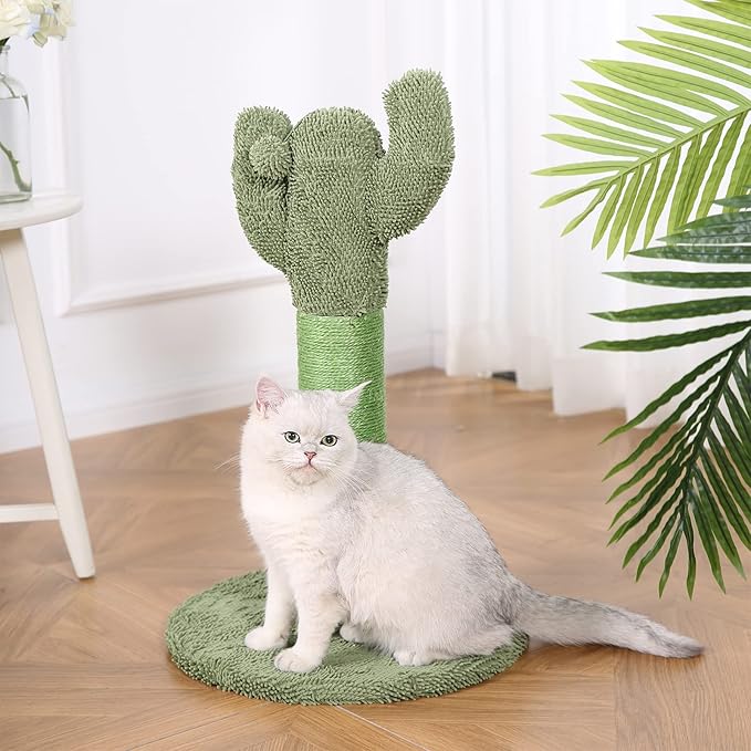 Amazon Basics Cactus Cat Scratching Post with Dangling Ball, 25.6 Inches, Green - PAWPICO